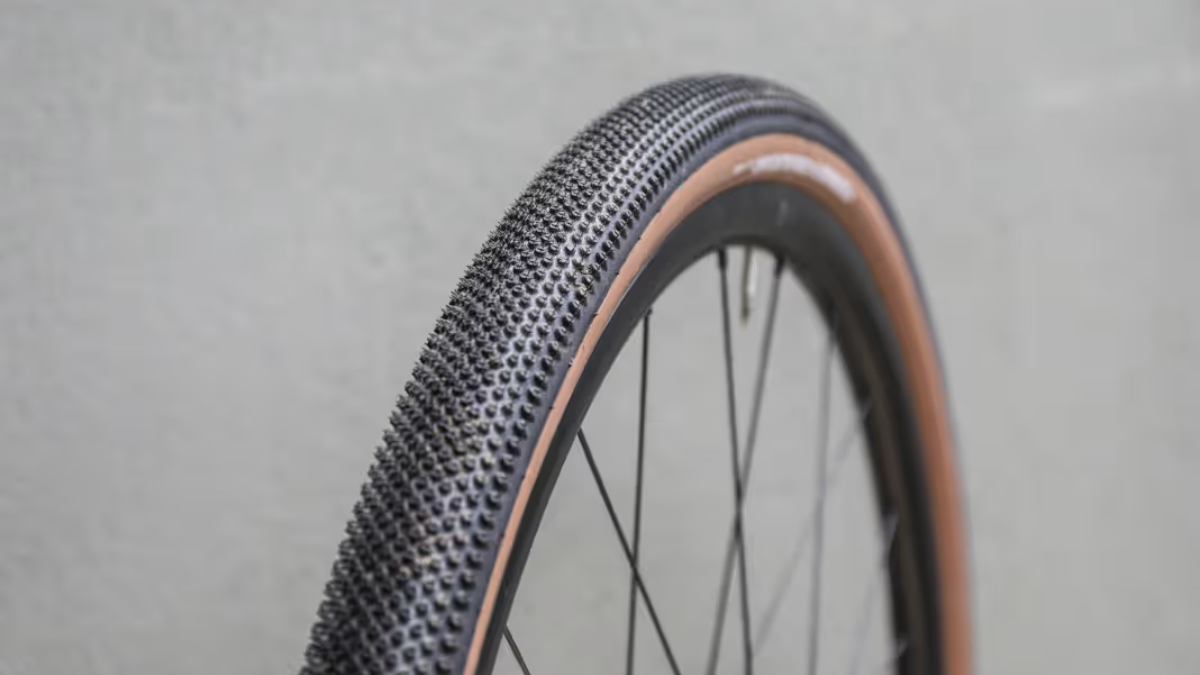 schwalbe g-one rs